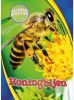 Allemaal beestjes: Honingbijen Leaf Christina online kopen